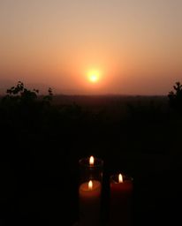 This artwork evokes a soft, dreamy atmosphere, capturing a hazy sunset over a vineyard. The scene is bathed in the gentle, wa