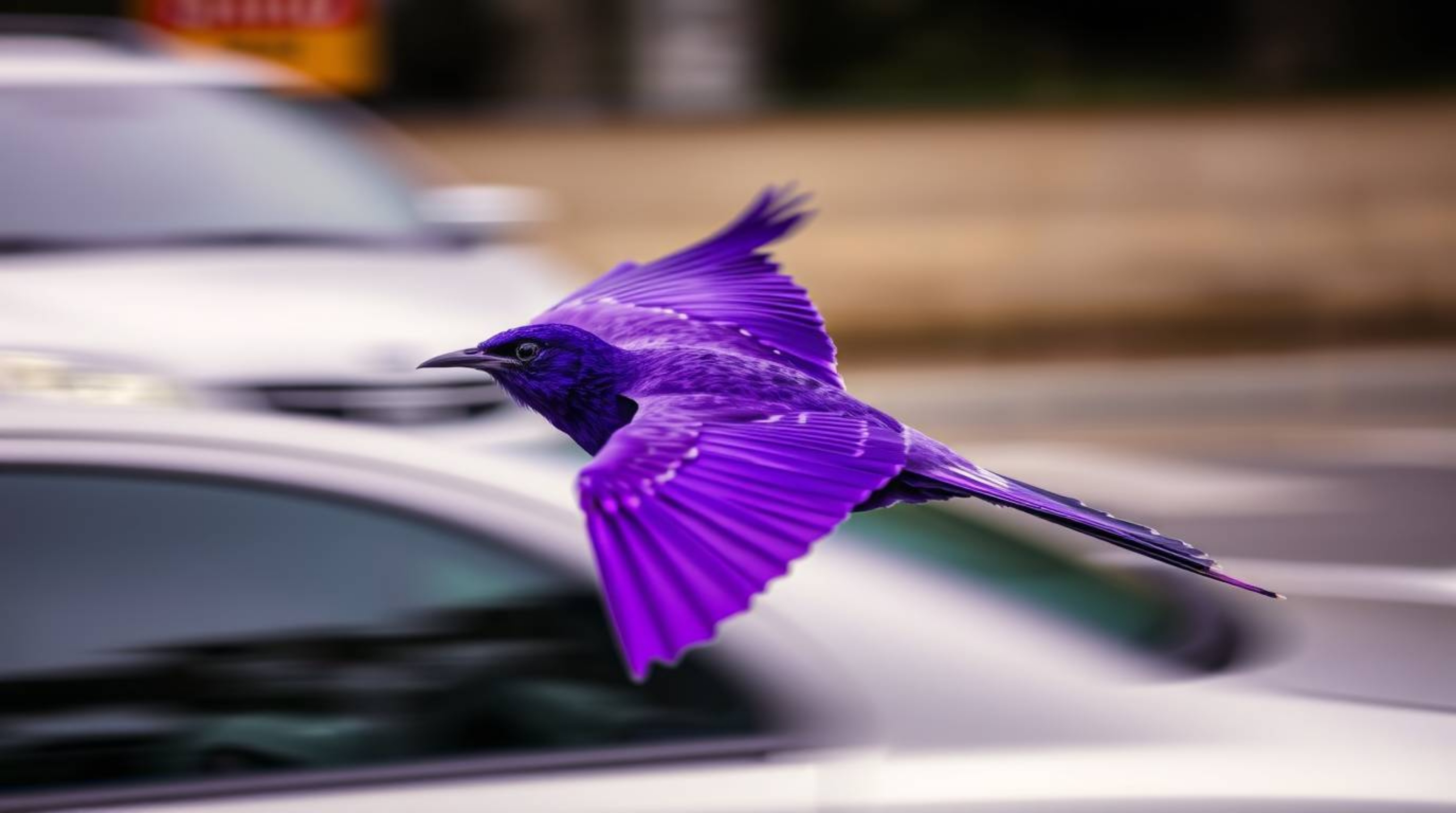 This stunning image captures a graceful bird with refined features in a state of flow, zooming past traffic in a blur of vivi