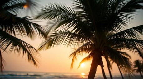 Experience the breathtaking beauty of a tropical beach sunset in this extreme macro close-up.  Swaying palm trees and a soft,