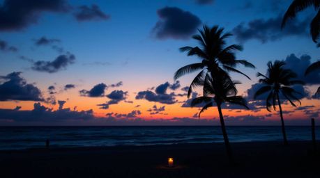 Experience the magic of a tropical beach at sunset, where cool blues, greens, and purples create a stunning contrast against 