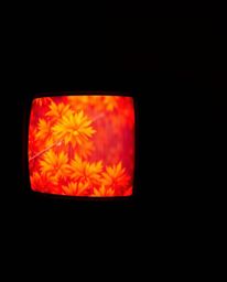 A captivating high-contrast photograph showcases a TV screen glitch bathed in warm autumnal hues. Deep shadows and dramatic l