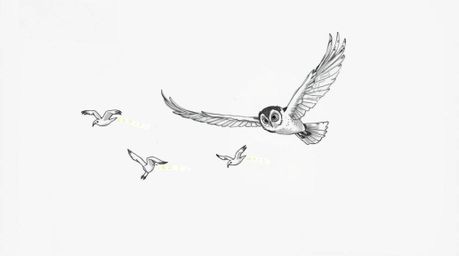 A captivating hand-drawn sketch in the style of Pixar depicts a blind owl in mid-flight, guiding several birds to learn to fl