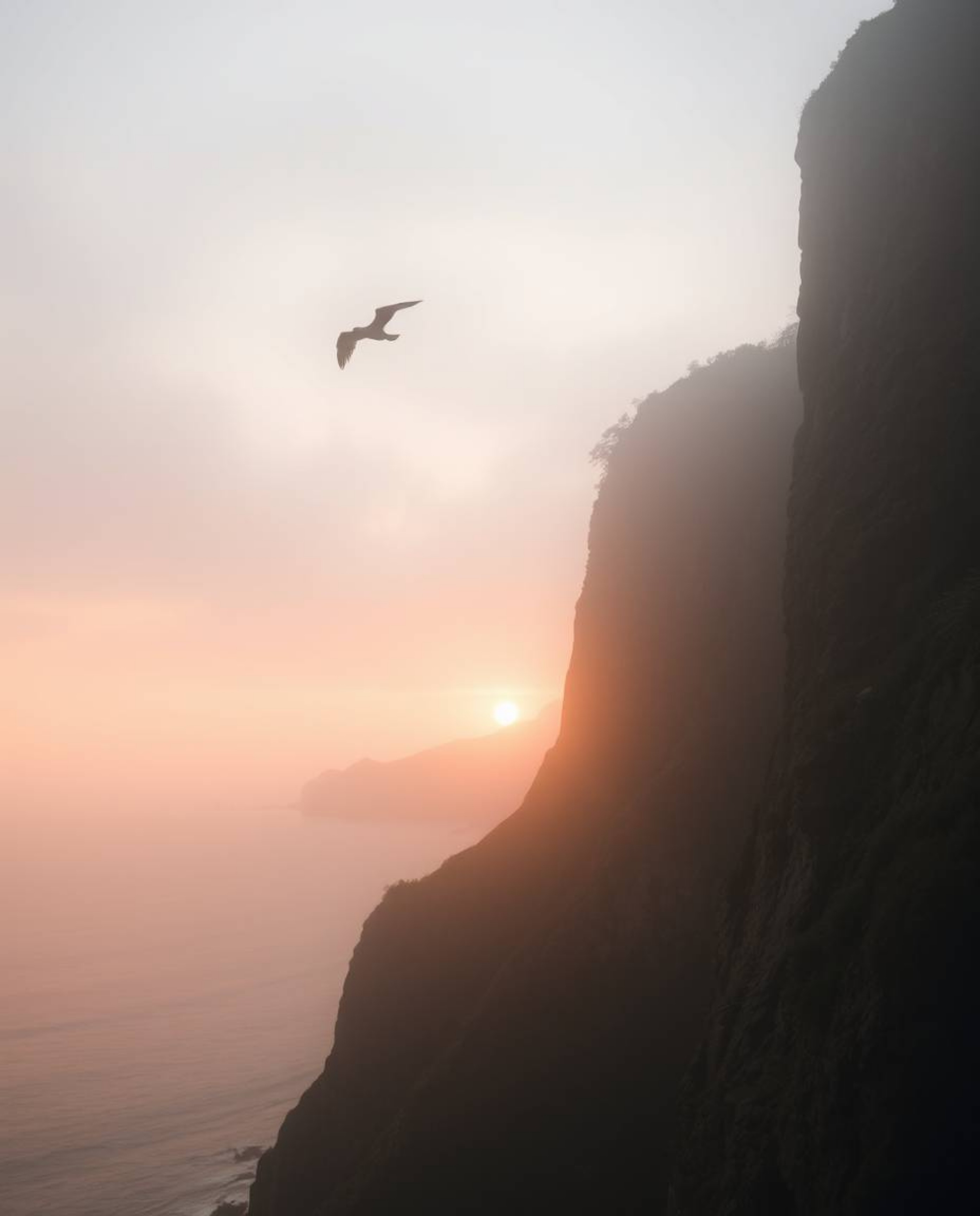 This image captures a sunset over a coastal cliff, complete with soaring birds, creating a soft and dreamy atmosphere. The en