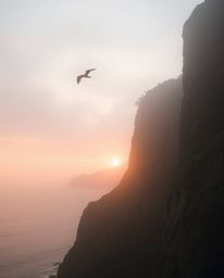 This image captures a sunset over a coastal cliff, complete with soaring birds, creating a soft and dreamy atmosphere. The en