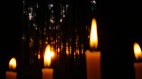 Experience the captivating beauty of a warm candlelight scene, set within a dense forest bathed in the golden hues of a setti