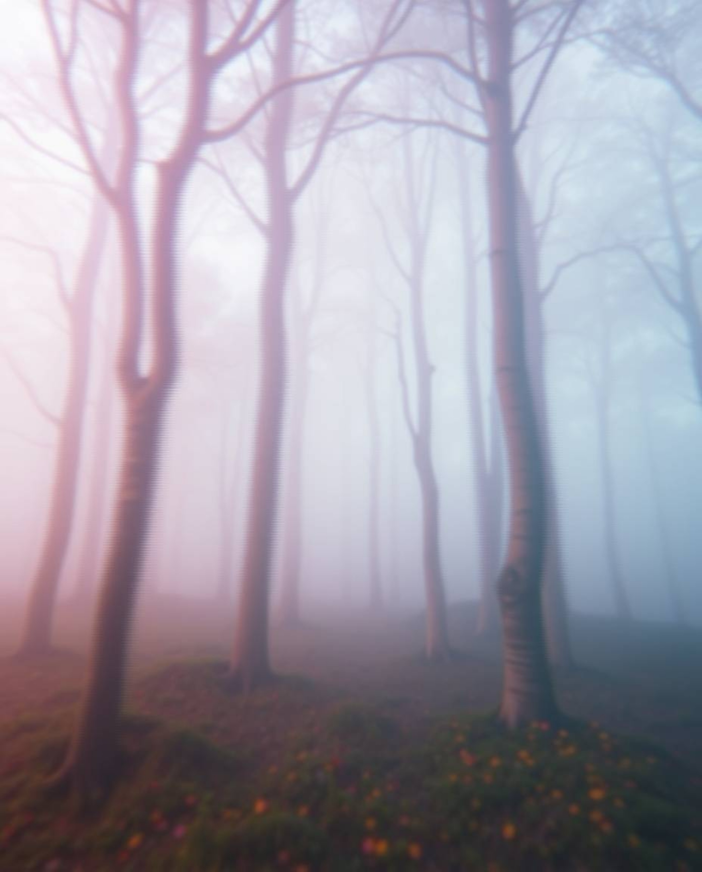 A dreamy, surreal landscape unfolds where a soft pastel forest encounters a digital glitch effect.  The result is a captivati
