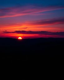 This is a sophisticated and elegant scene capturing a sunset over a vineyard, beautifully rendered in rich burgundy and deep 