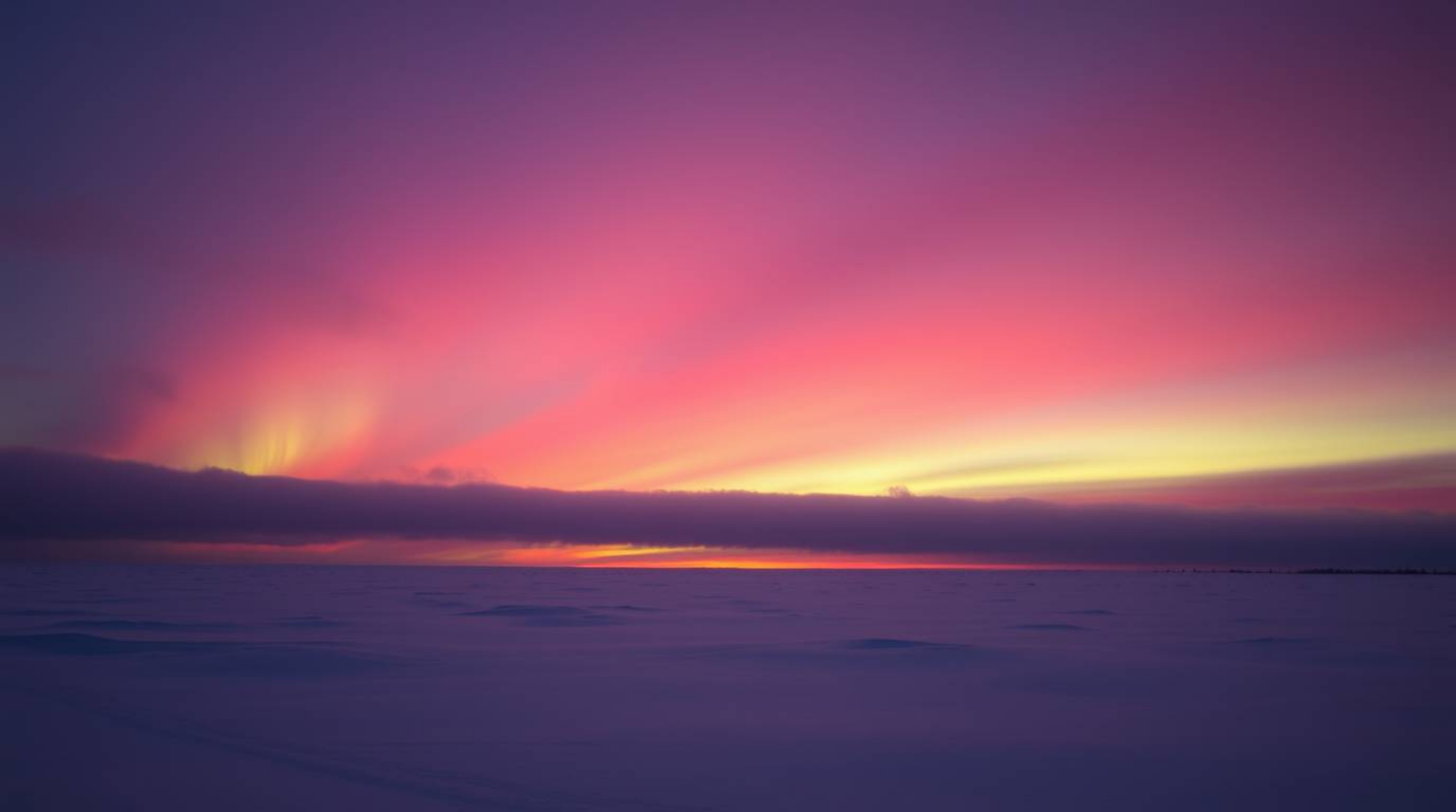 A gentle and soothing image featuring soft pastel colors and intense dramatic lighting creates a high-contrast scene.  The no