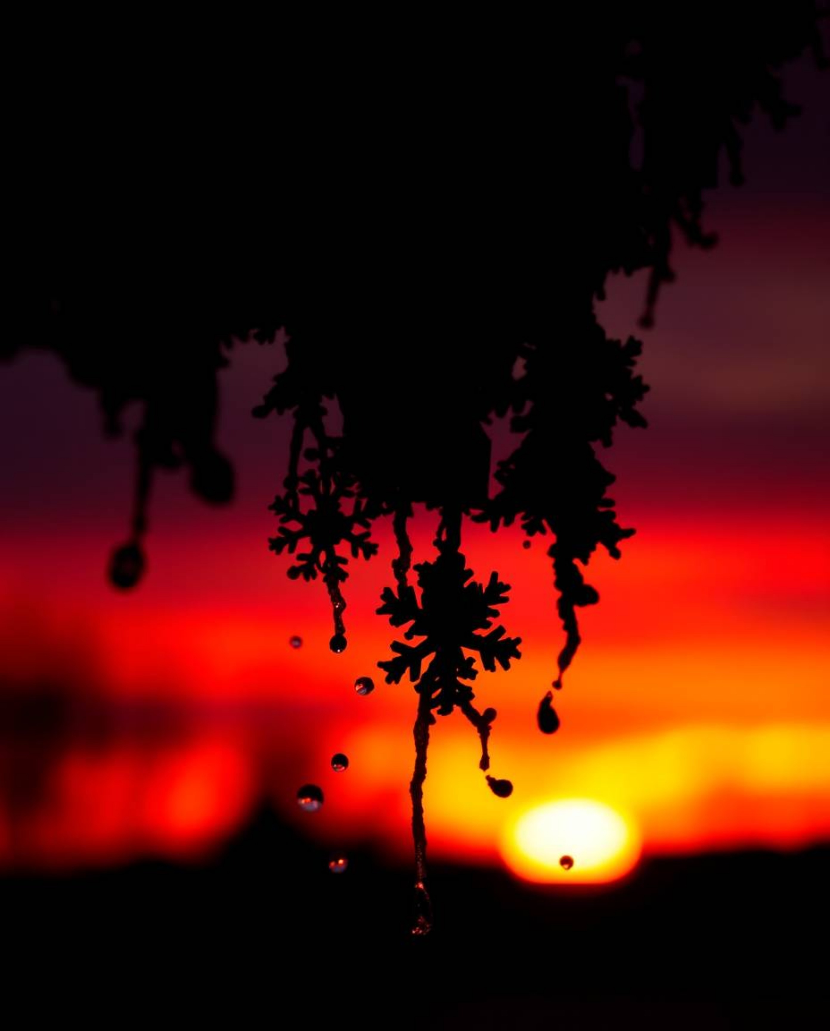 A striking image of intensely black snowflakes falling against a vibrant sunset. The composition uses a pure black silhouette
