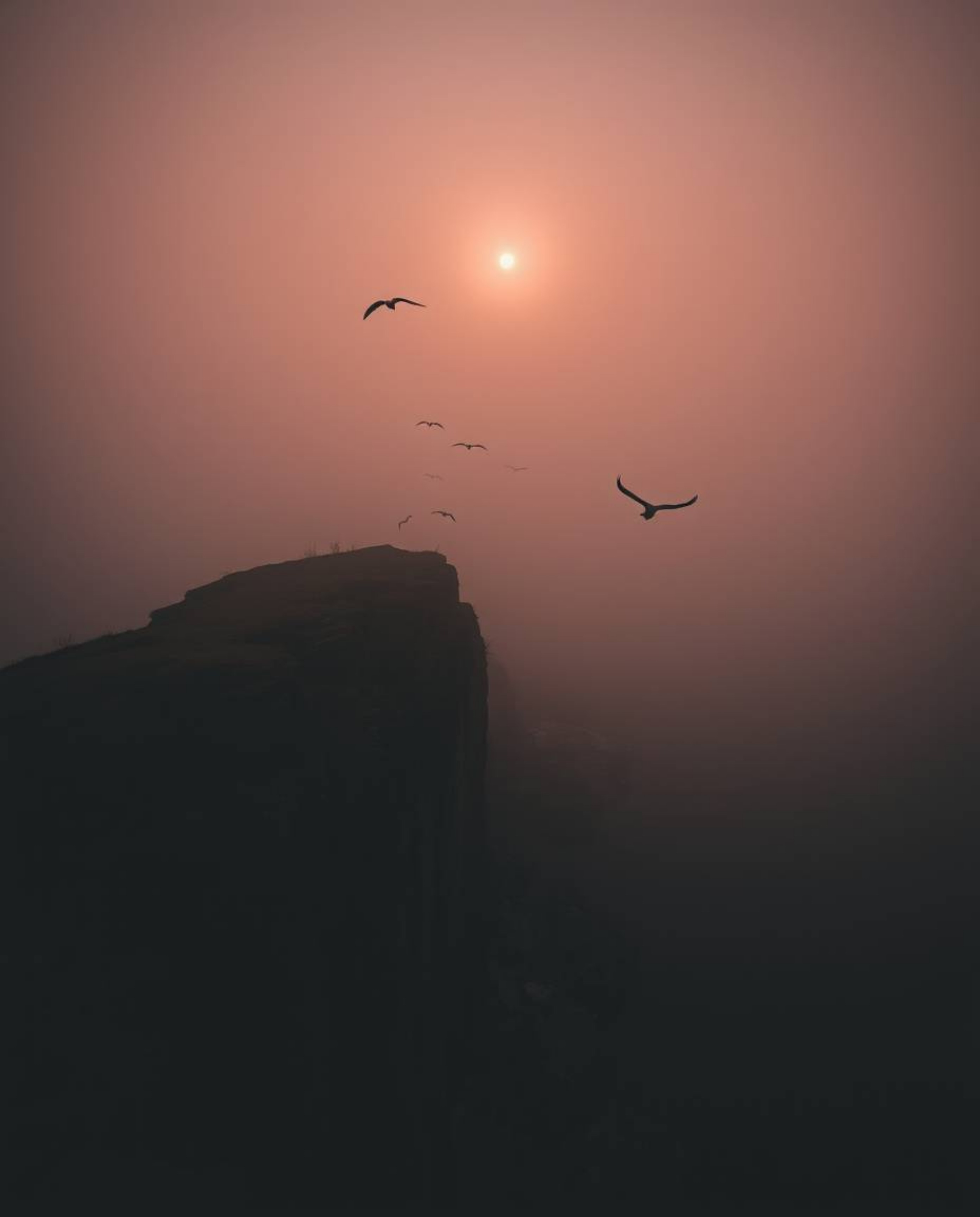 This is a moody bird's-eye view photograph capturing a coastal cliff sunset with soaring birds. Shot from a top-down perspect