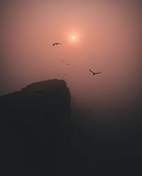 This is a moody bird's-eye view photograph capturing a coastal cliff sunset with soaring birds. Shot from a top-down perspect