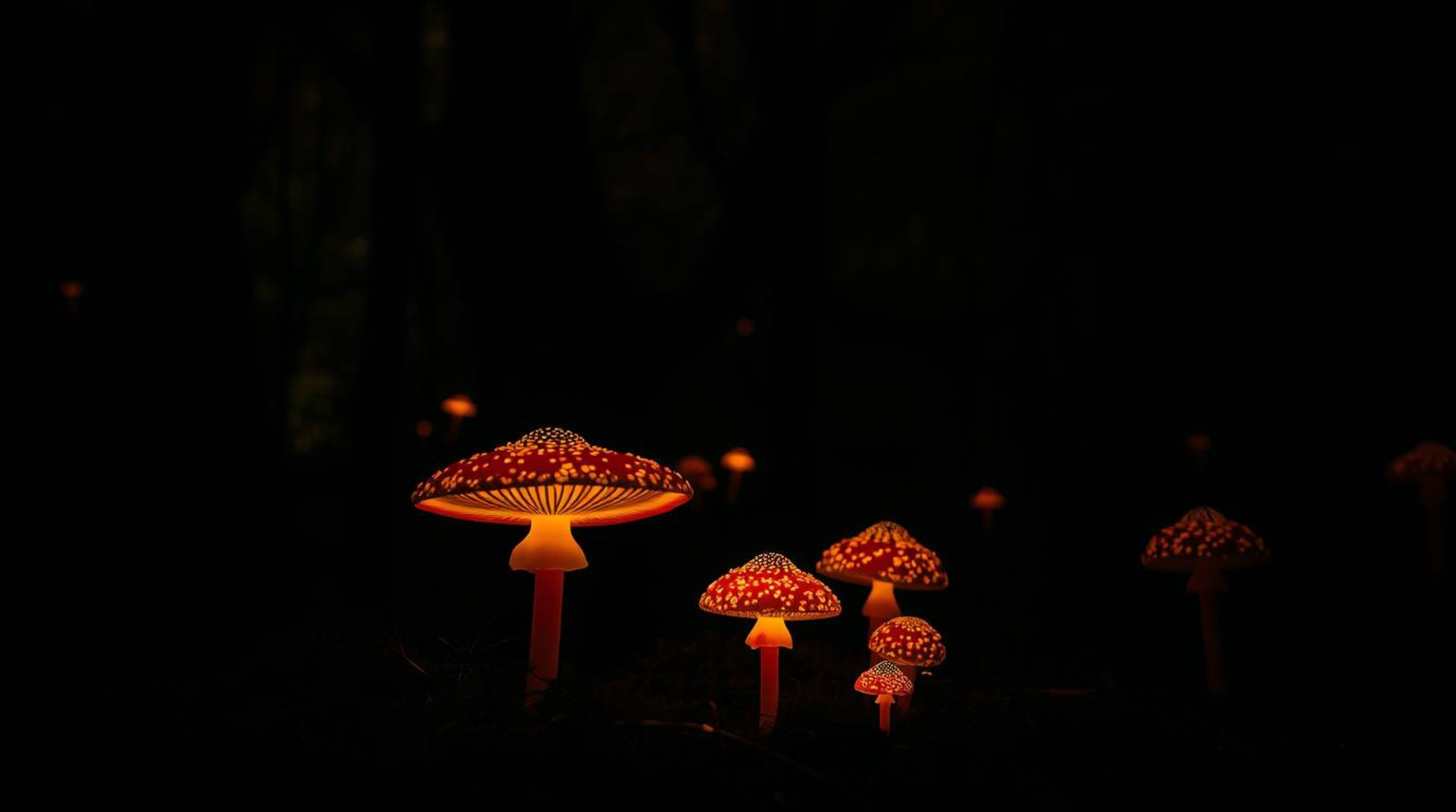 Immerse yourself in a vintage-style enchanted forest illuminated by the magical glow of vibrant mushrooms. This photograph, i