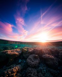 A photograph captures a coral reef at low tide, featuring a bright lens flare that casts beautiful light streaks across the s