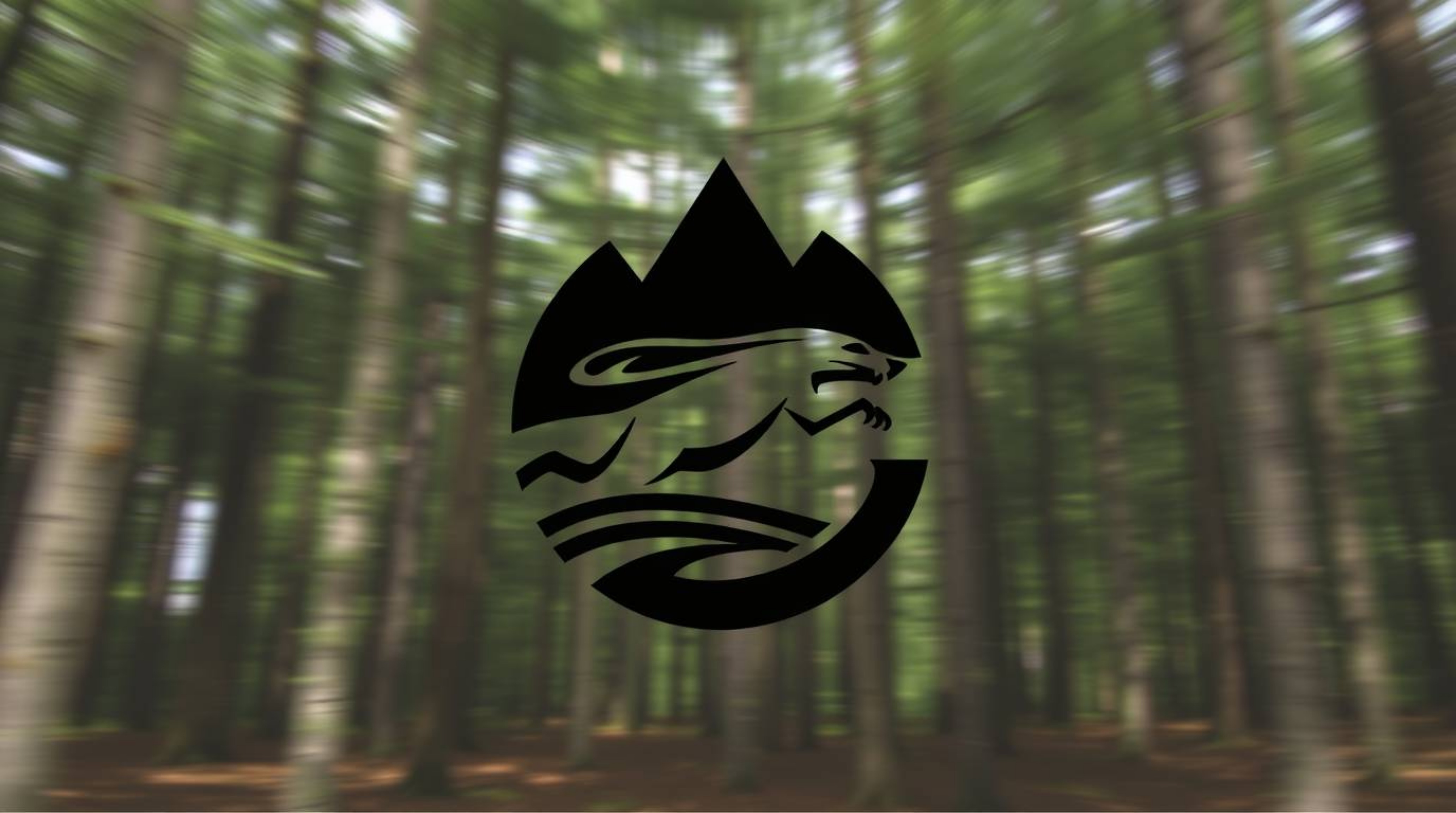 A dynamic logo design features a chase scene within a looping forest backdrop.  Created with geometric shapes and clean lines