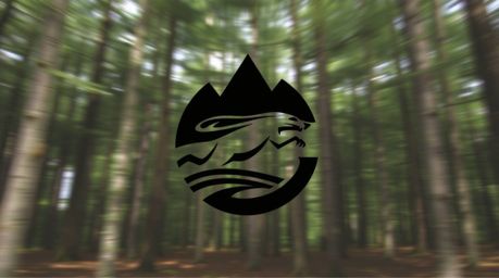 A dynamic logo design features a chase scene within a looping forest backdrop.  Created with geometric shapes and clean lines