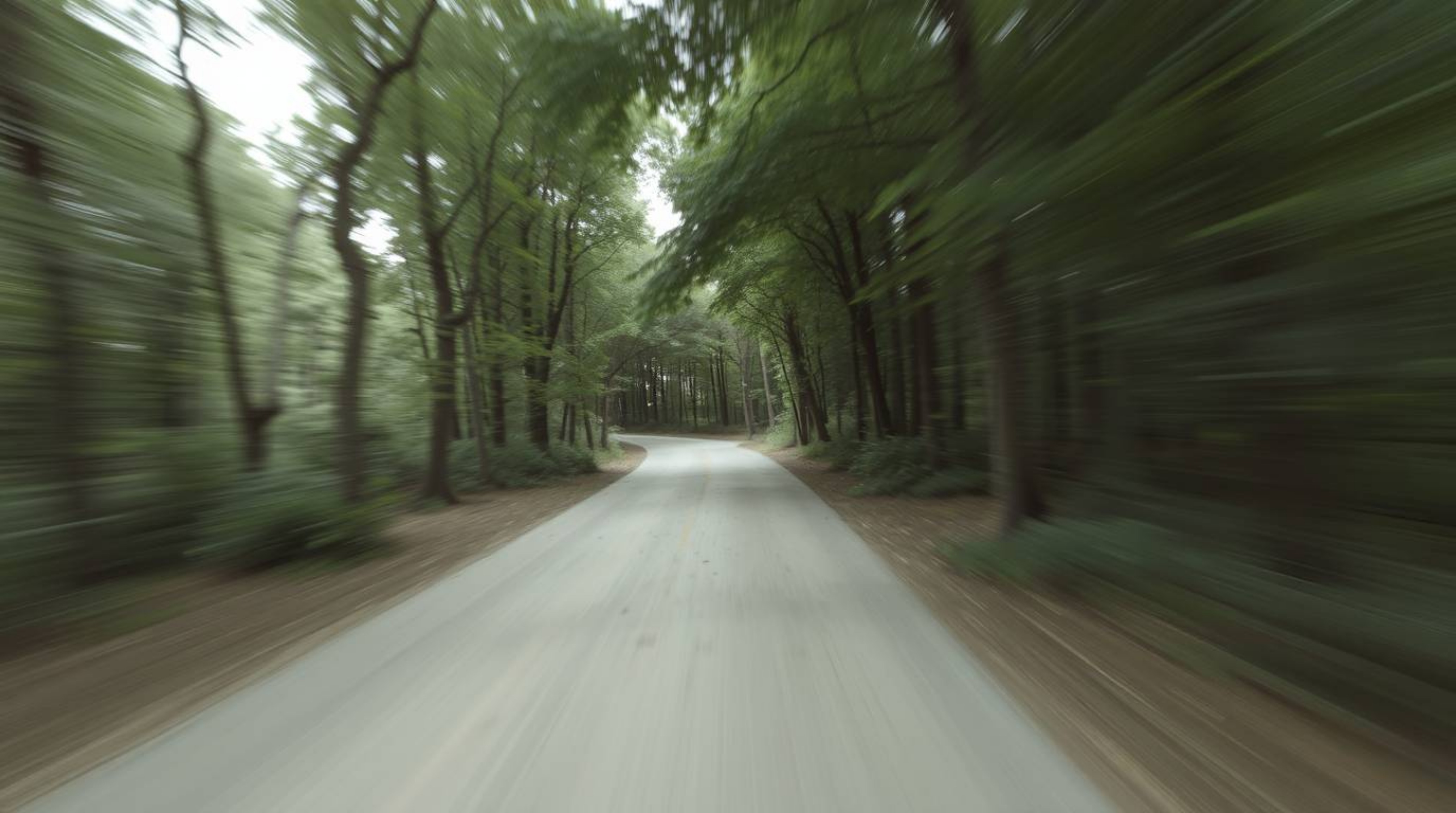 Experience a thrilling chase scene through a looping forest, viewed from a captivating bird's-eye perspective.  The cinematic