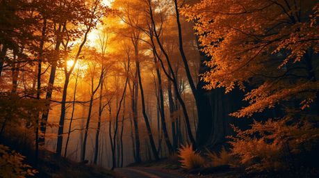 Experience an epic scene of a modern futuristic autumn forest bathed in the golden light of a vibrant sunset.  This breathtak