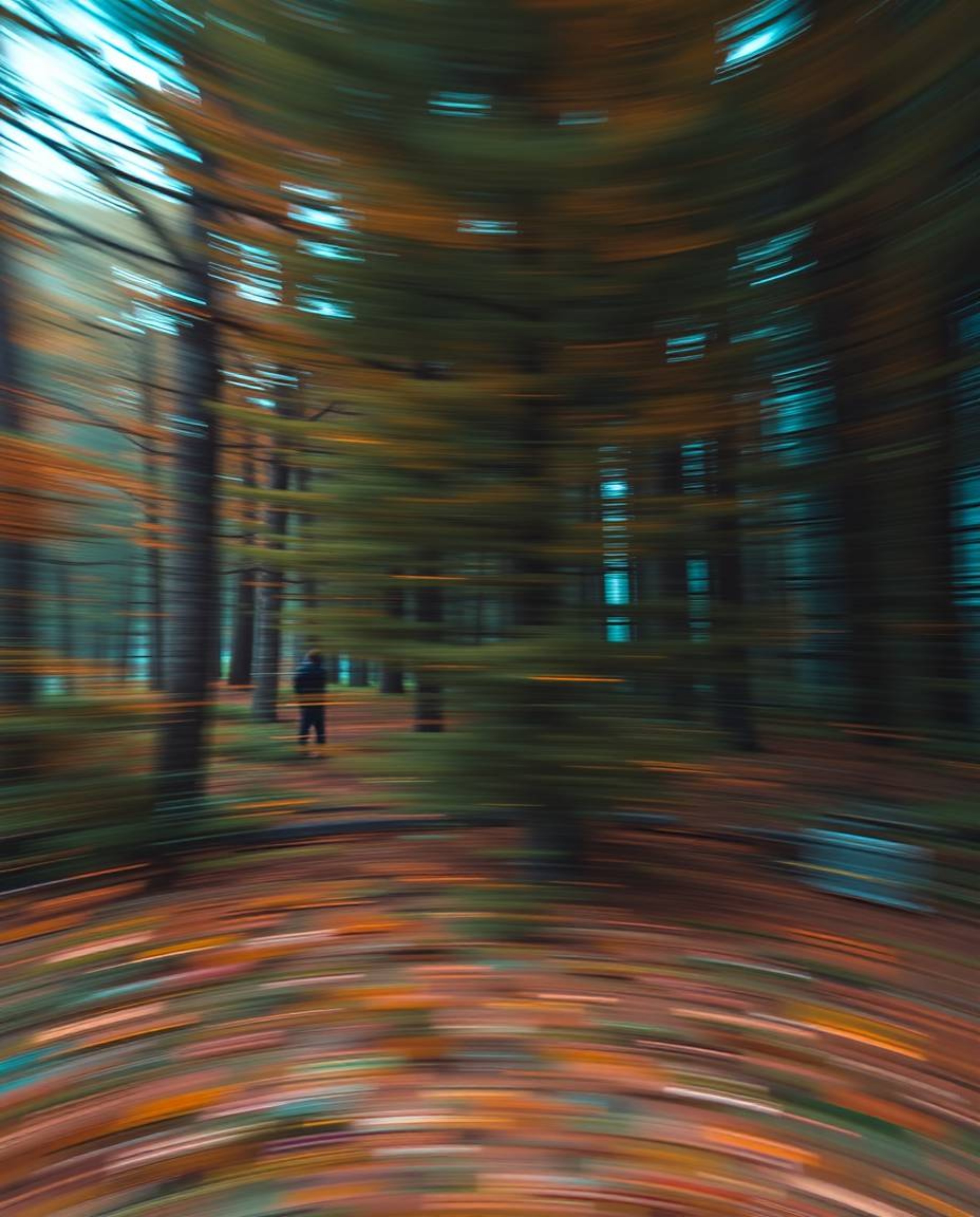 A dynamic motion image showcasing a digital glitch superimposed over a serene natural forest scene, creating a surreal contra