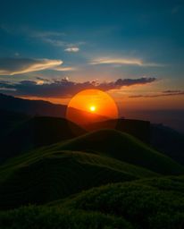 A dramatic cinematic logo depicting a sunset over terraced tea plantations. This design features geometric shapes, clean line
