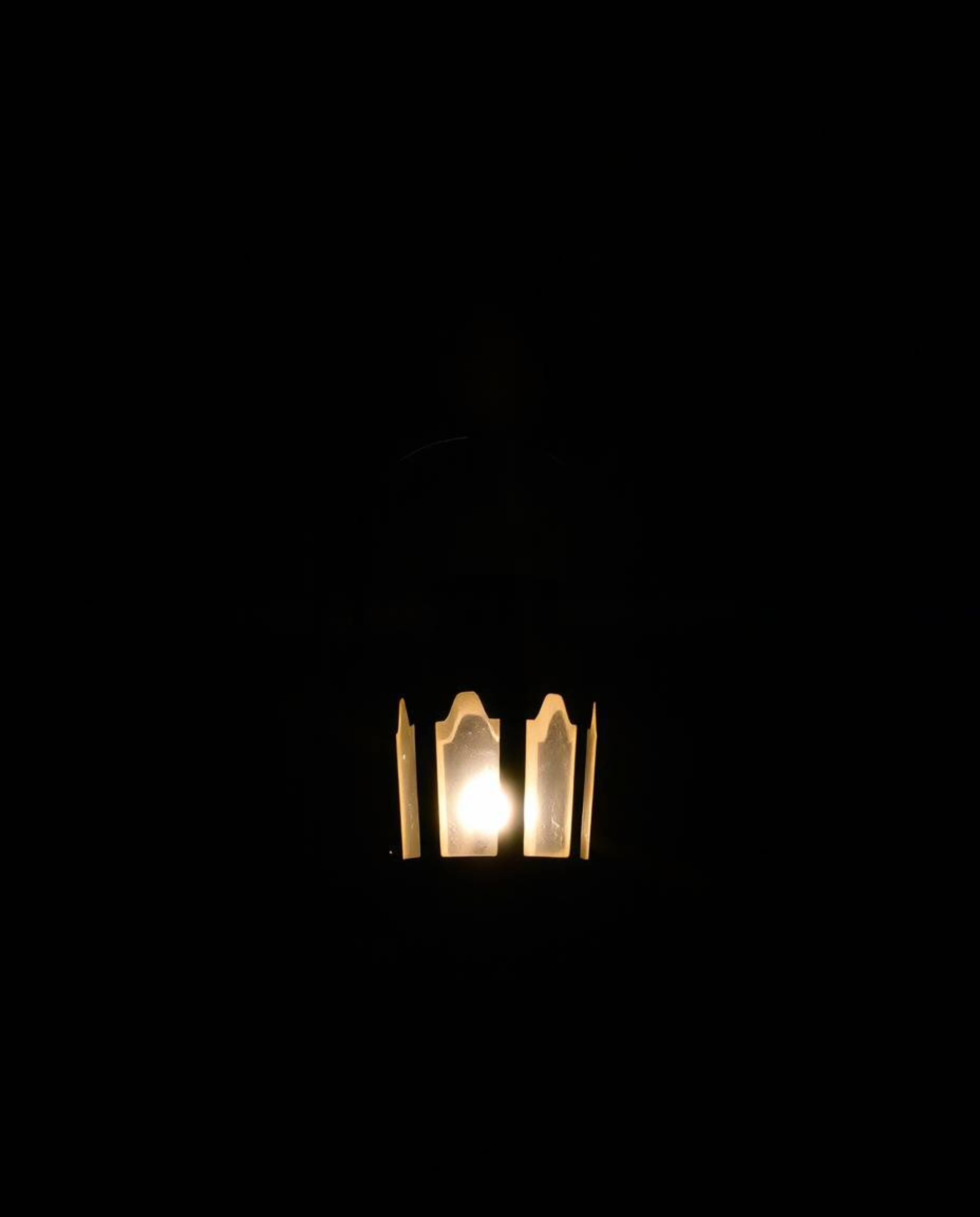 A captivating silhouetted and back-lit photograph showcases a glowing lantern in a dark forest, employing a low contrast and 