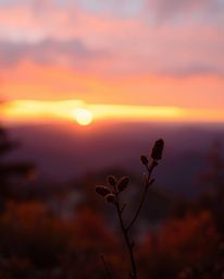 Witness a stunning sunset from a high alpine peak, imbued with warm autumn colors that create a cozy and earthy atmosphere. T