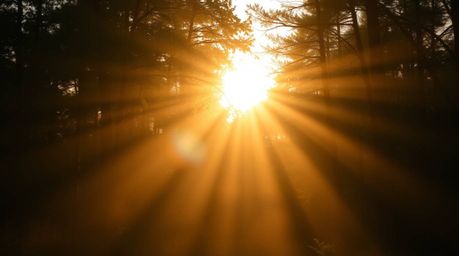A stunning high-resolution stock photo showcasing volumetric lighting effects during sunset.  Golden rays pierce through a de