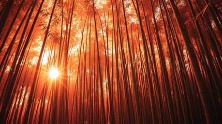 A captivating surreal infrared image transports you to an otherworldly bamboo forest. Bathed in the warm glow of golden hour 