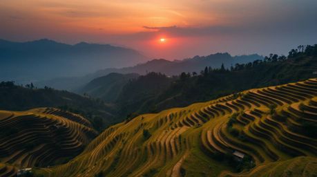 Experience the breathtaking beauty of a sunset over rice terraces nestled in the mountains. This overhead, bird's-eye view ca