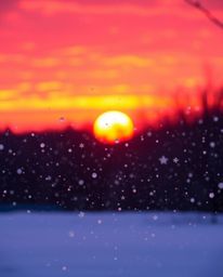 This is a high-resolution stock photo capturing a beautiful warm-toned image of snowflakes falling during a vibrant sunset. T