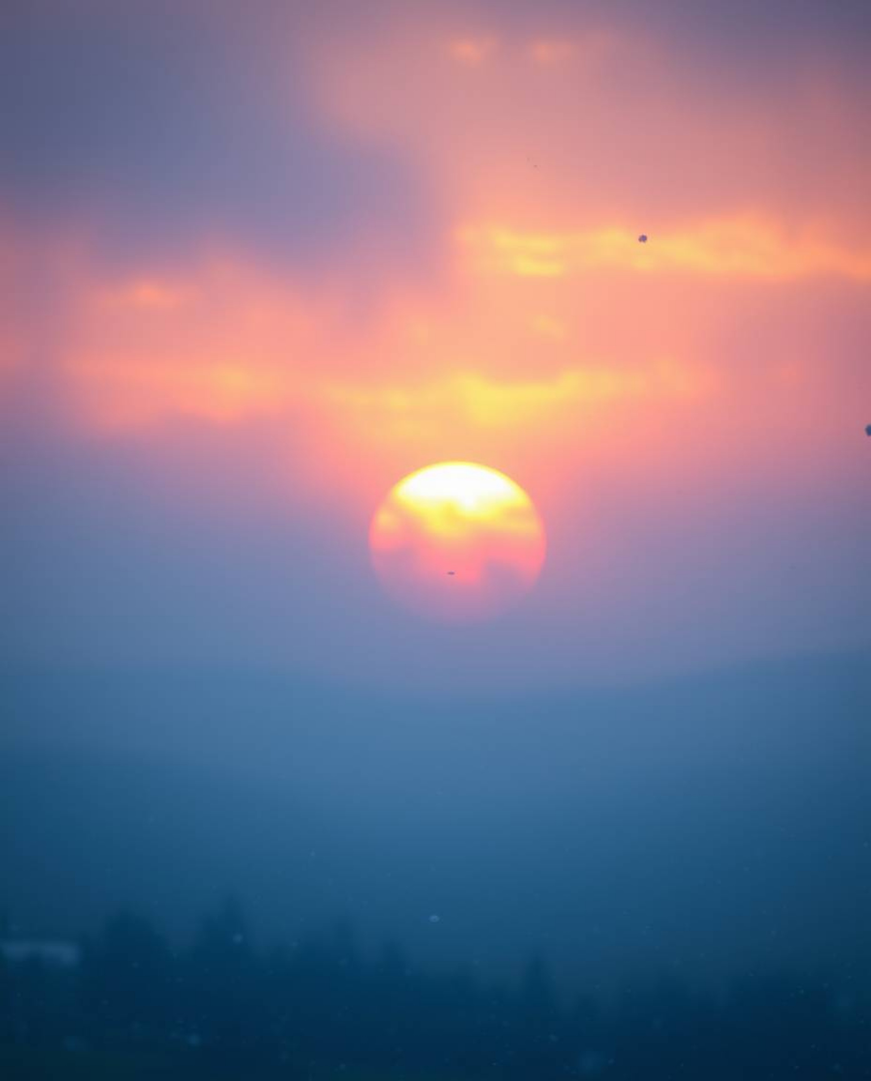 A captivating scene with a soft, dreamy atmosphere depicts snowflakes falling during a vibrant sunset. The image is bathed in