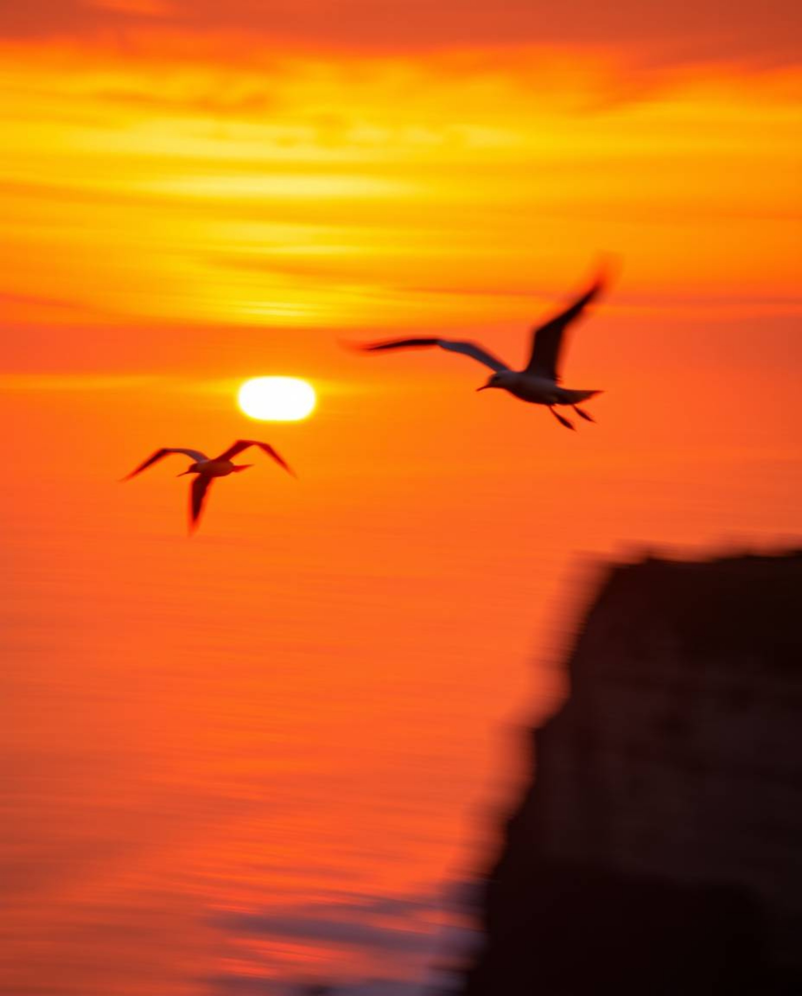 This is a high-resolution photograph captured with a long exposure, showcasing a warm sunset over a coastal cliff with soarin