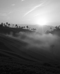 This classic black and white image captures a mystic and enchanting sunset over terraced tea plantations. It is characterized