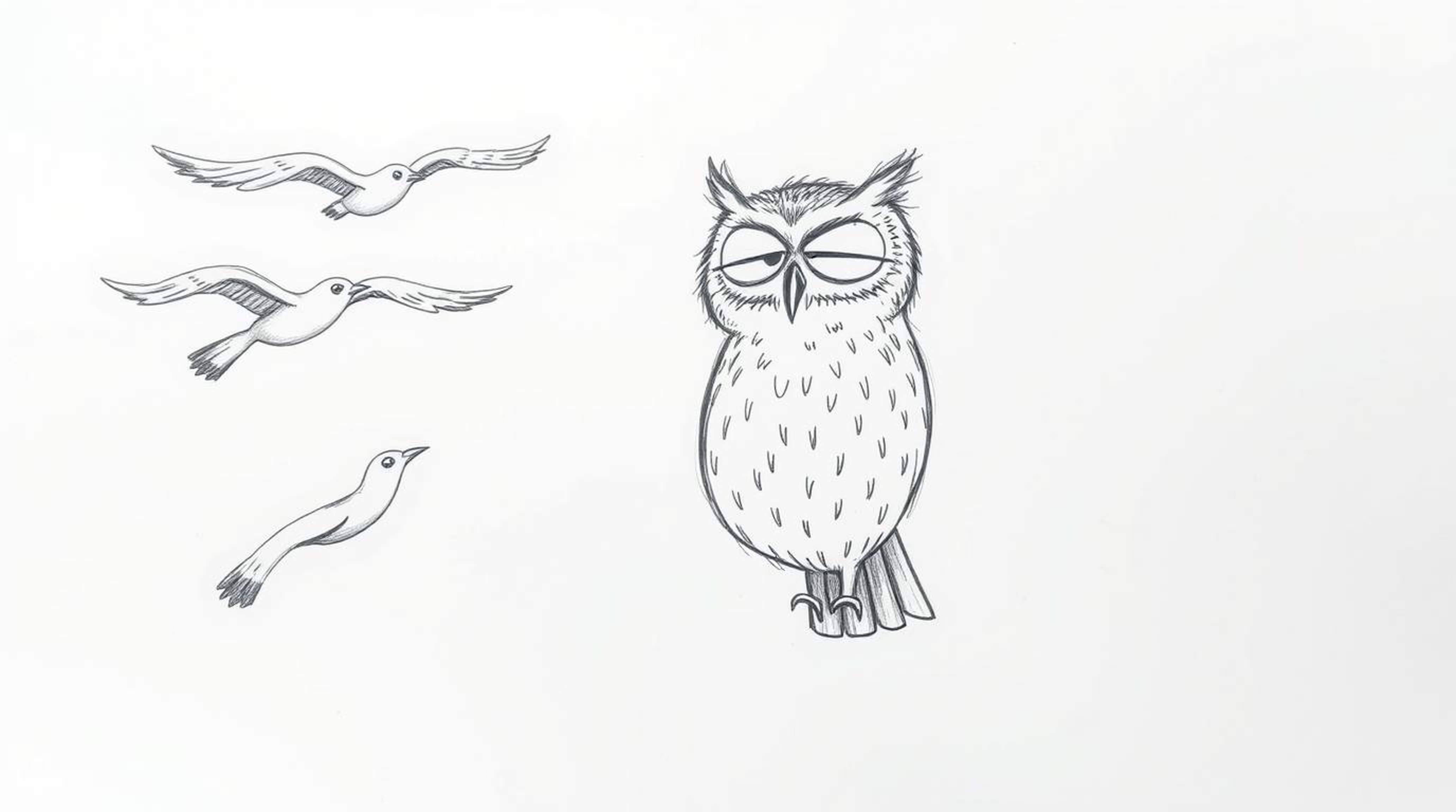 A charming hand-drawn sketch, reminiscent of Pixar animation, depicts a serene blind owl patiently instructing a flock of bir