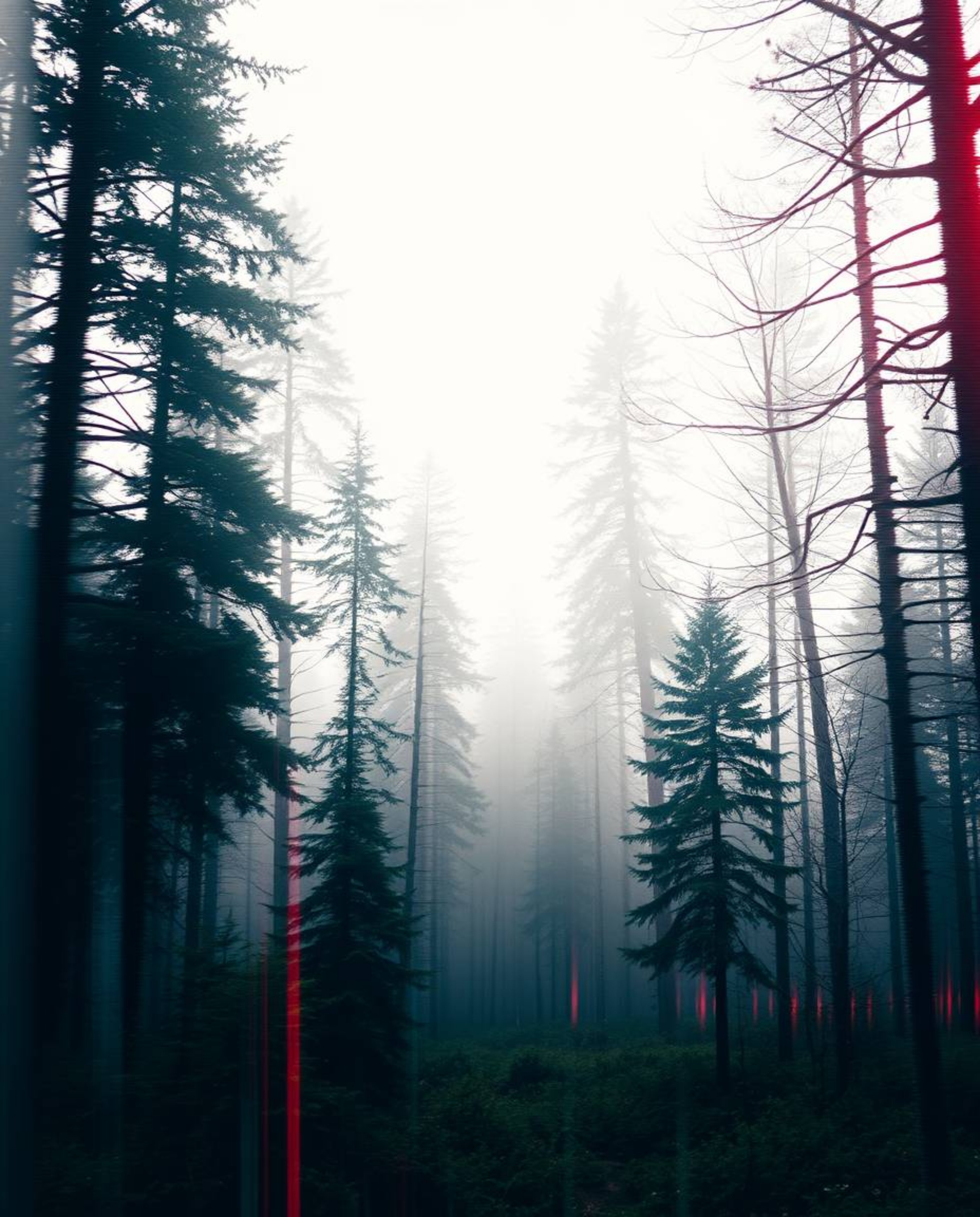 Experience the ethereal beauty of an elegant digital glitch effect overlaying a mystical forest.  Gentle color contrasts crea