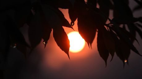 Experience the soft and dreamy atmosphere captured in this unique fine art photography.  The collection showcases unusual and