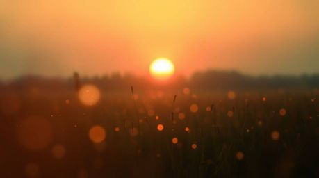 Experience the enchanting beauty of a sunset over a serene meadow, where fireflies begin to twinkle. This abstract art piece 