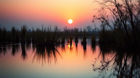 A captivating fine art photograph capturing the mesmerizing reflection of iridescent colors on a calm pond at sunset. The ima