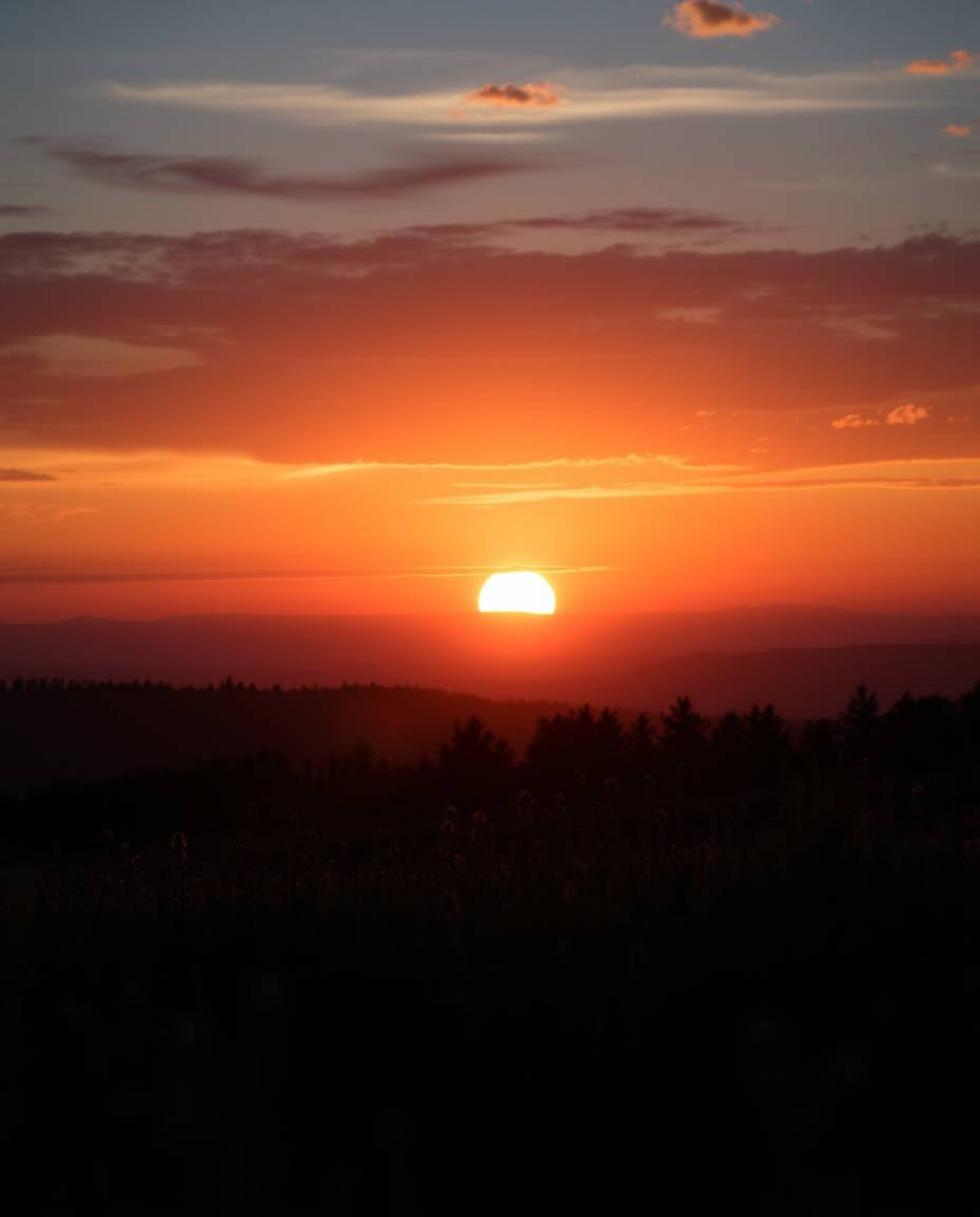 This epic scale photograph captures a silhouetted sunset over a sprawling spring wildflower meadow. Characterized by dramatic