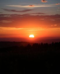 This epic scale photograph captures a silhouetted sunset over a sprawling spring wildflower meadow. Characterized by dramatic