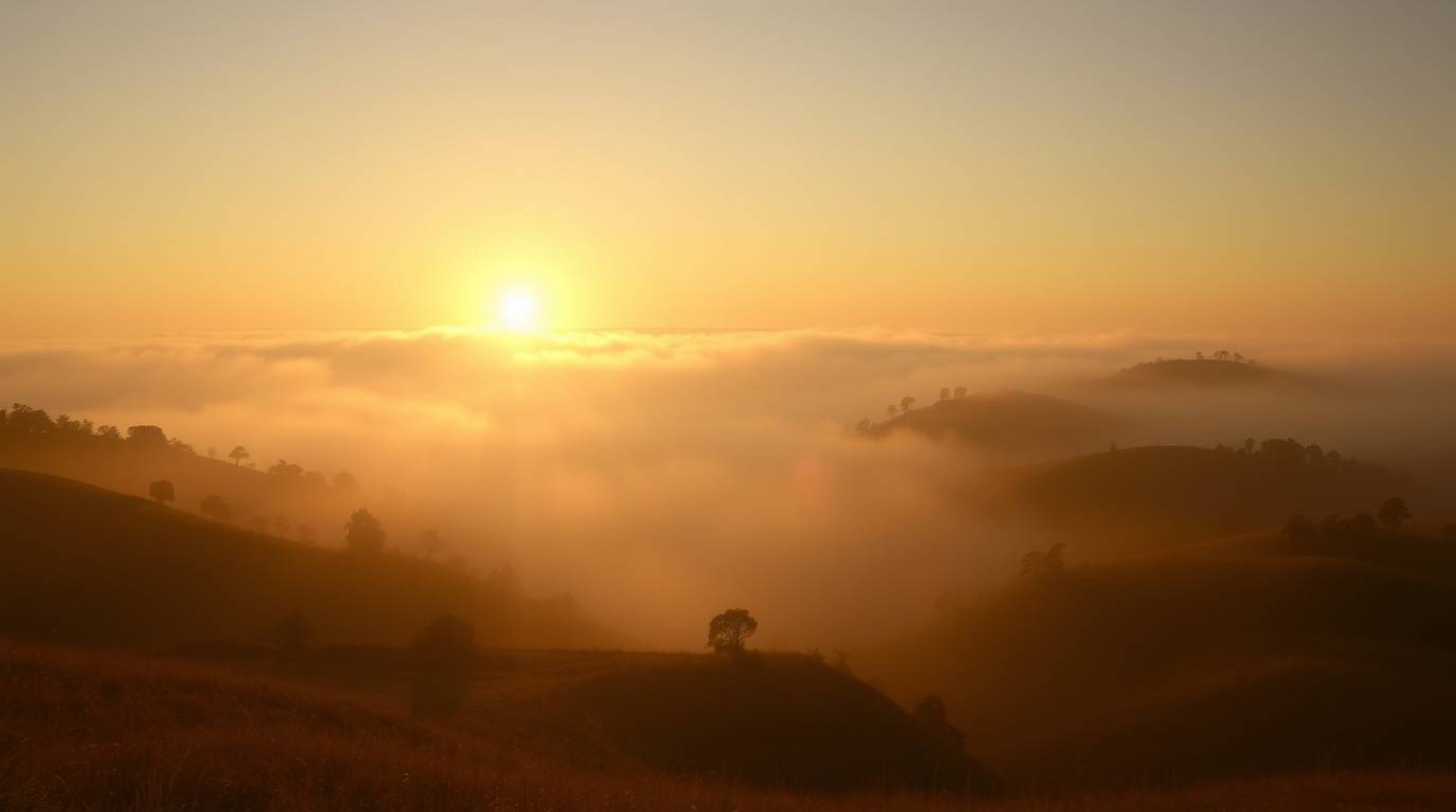 Experience the breathtaking beauty of fog-covered hills bathed in the warm golden light of a breaking sunset. This radiant an