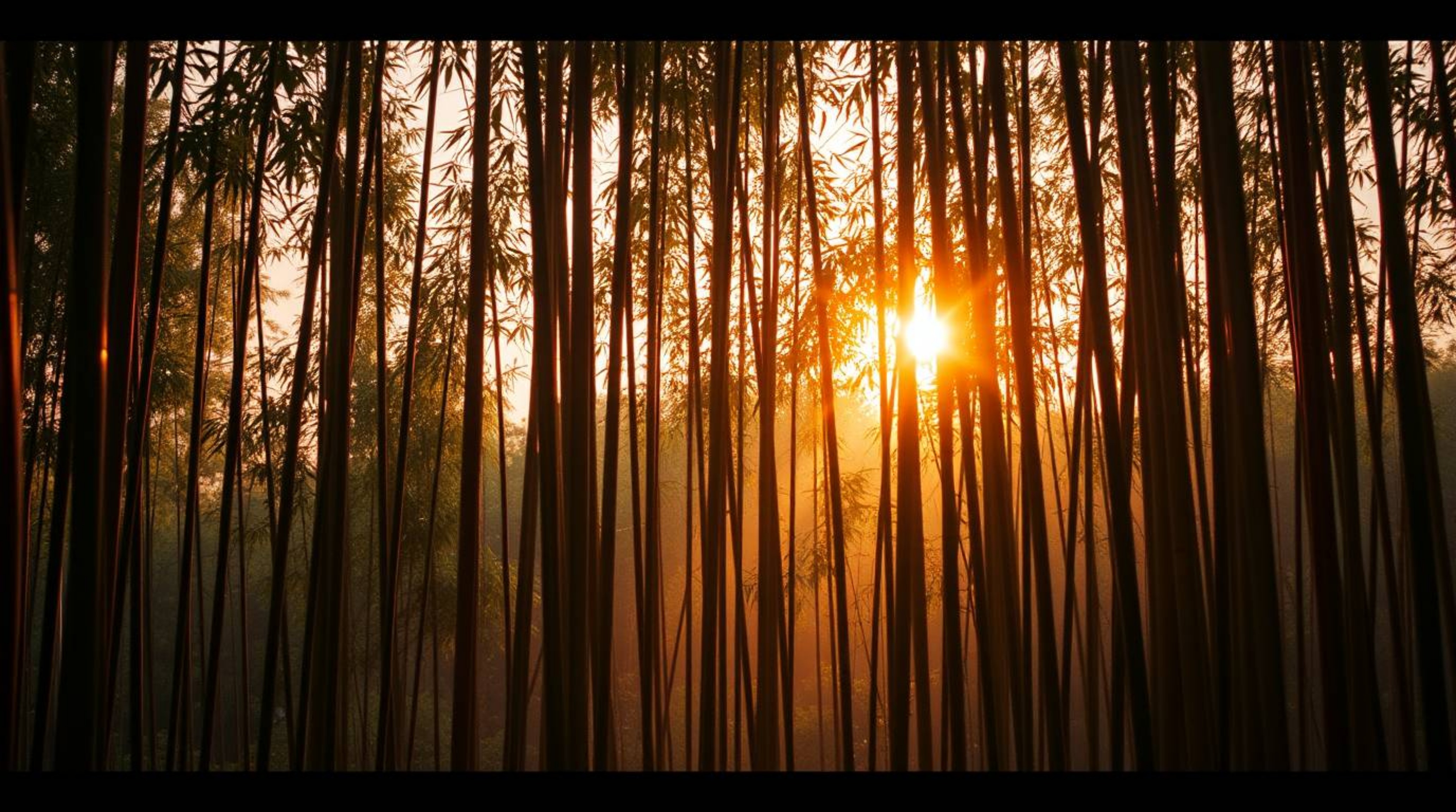 Experience the tranquility of a bamboo forest bathed in the warm glow of a sunset. This cinematic image, crafted with soft pa