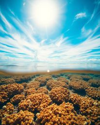 A bright and vibrant high-angle perspective captures a colorful sky over a coral reef at low tide. This lively and energetic 