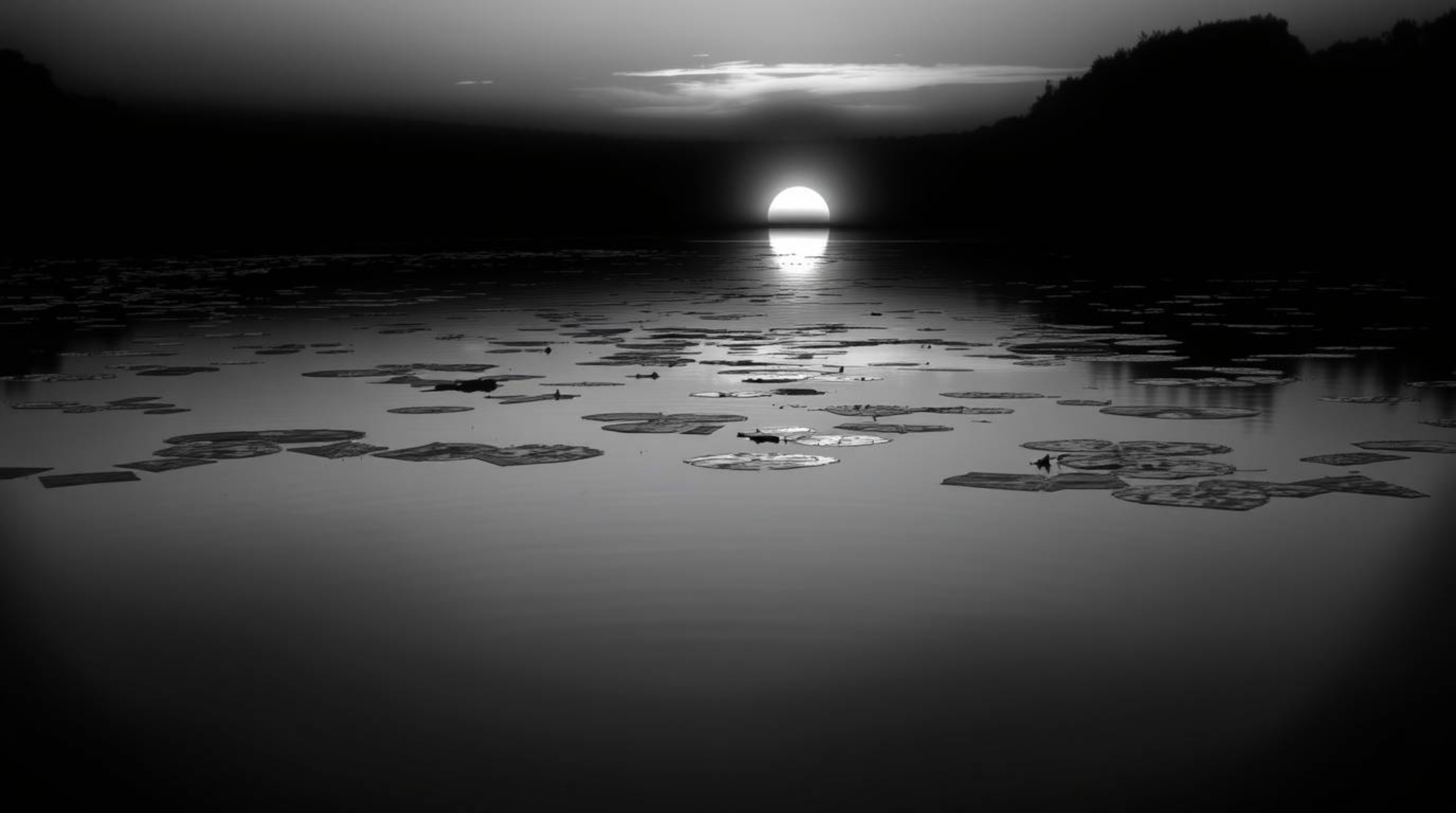 This collection features stunning classic black and white imagery alongside creative light art, showcasing a calm pond reflec