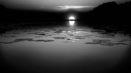 This collection features stunning classic black and white imagery alongside creative light art, showcasing a calm pond reflec