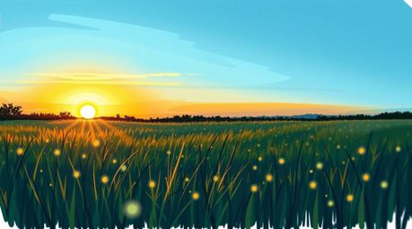 A captivating hand-drawn sketch depicts a serene sunset over a quiet meadow, where fireflies begin to glimmer.  Rendered in a
