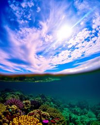 A tight close-up shot intensely captures a colorful sky over a coral reef at low tide. The image is distinguished by a bright