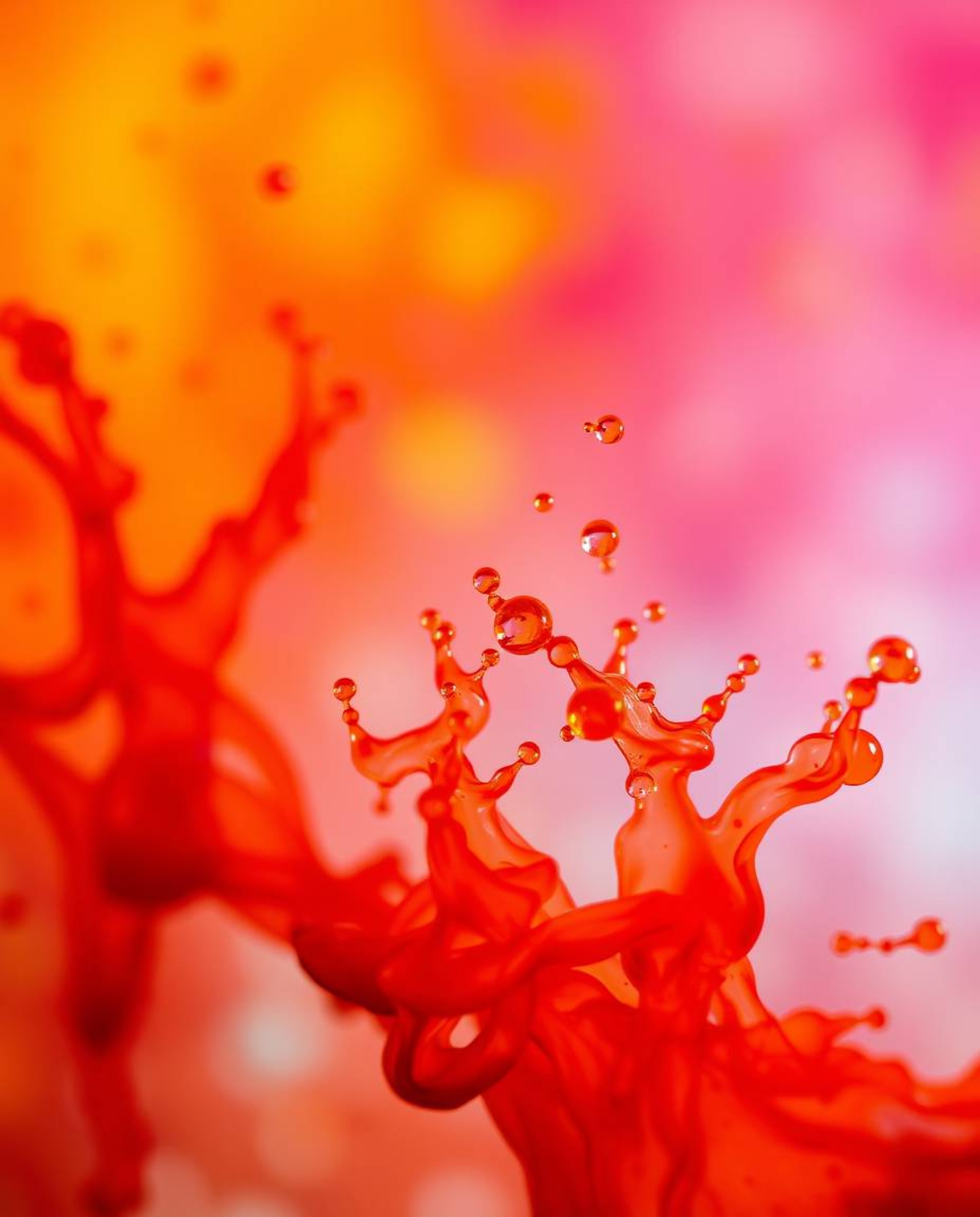 A captivating macro photograph showcases a vibrant splash of warm-toned ink in water.  The image features vivid reds, oranges