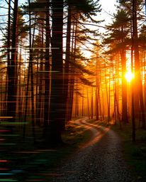 A captivating commercial stock photo showcasing a mesmerizing digital glitch effect layered over a tranquil natural forest sc