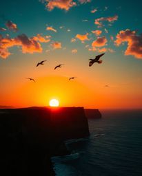 This image captures a vibrant sunset over a coastal cliff, where soaring birds add a dynamic element to the scene. The compos