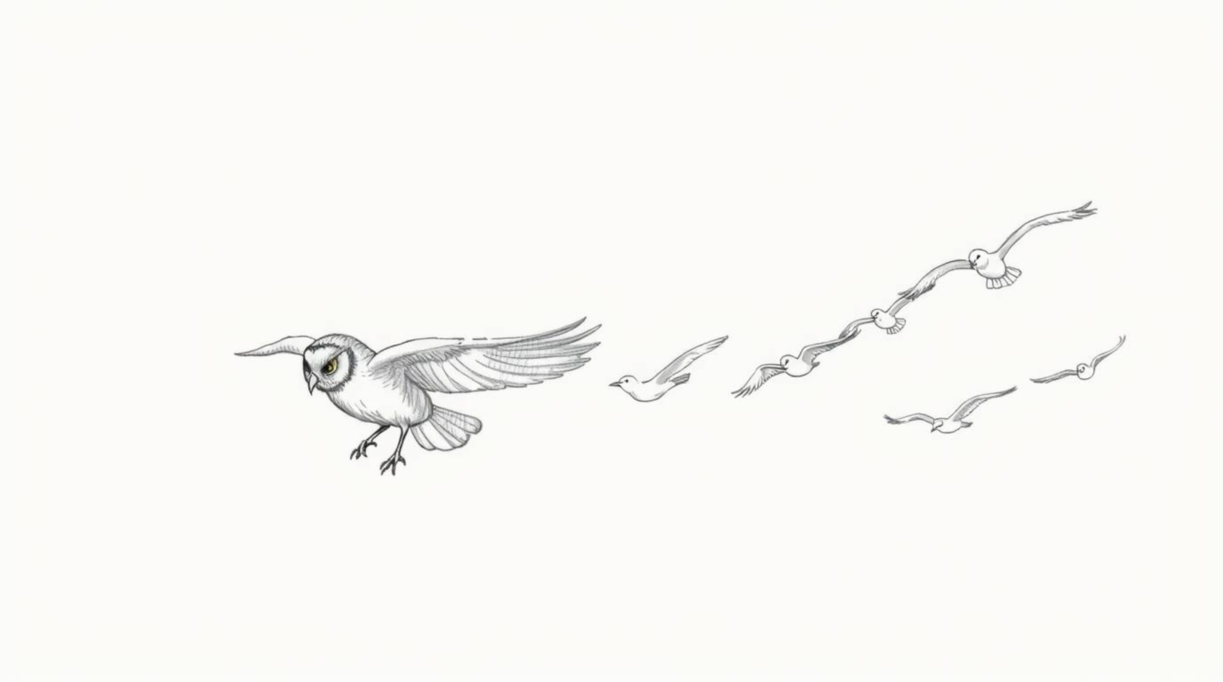 A hand-drawn sketch in the style of Pixar animation depicts a blind owl, its feathers subtly textured, leading a flock of bir
